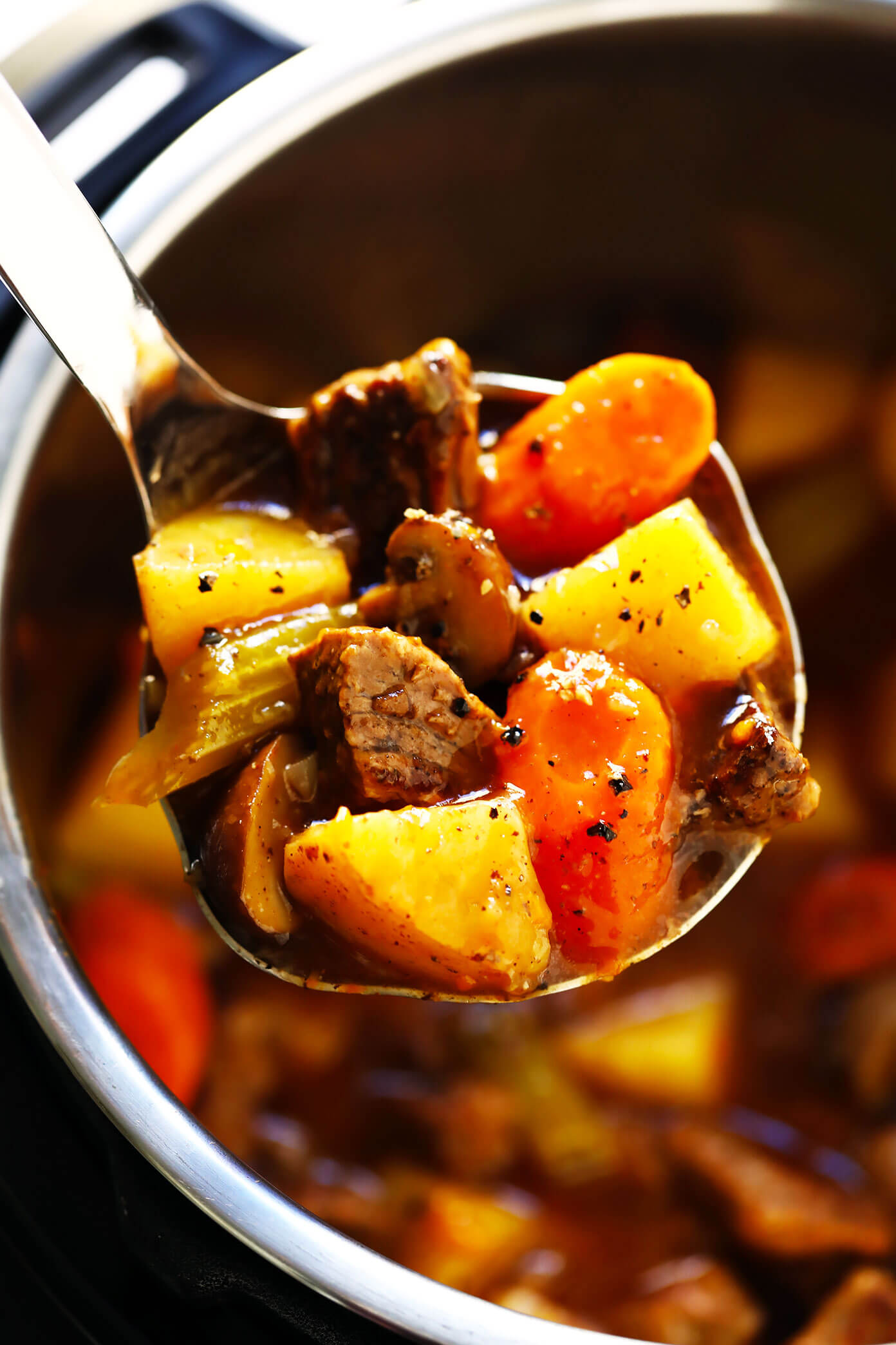 Instant Pot Best Beef Stew Recipe